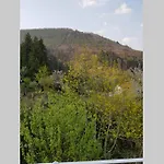 Kunterbunt