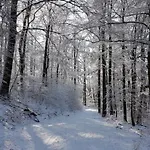 Prázdninový dům Kunterbunt