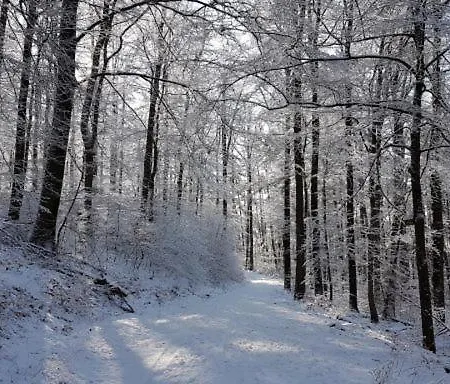 בית נופש Kunterbunt