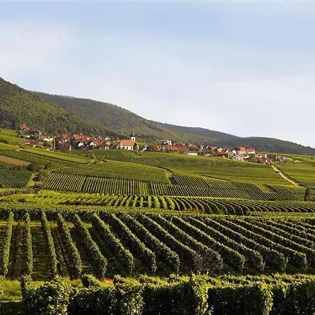 Kunterbunt בית נופש Weyher