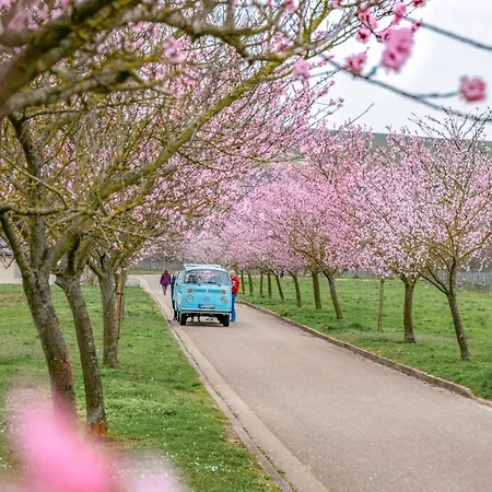Kunterbunt בית נופש Weyher