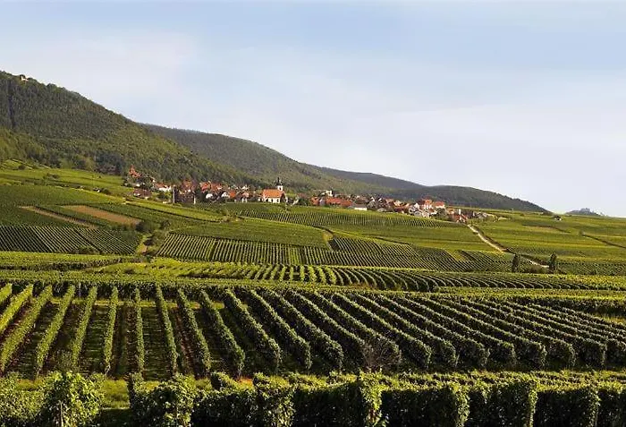 Kunterbunt 別荘 Weyher