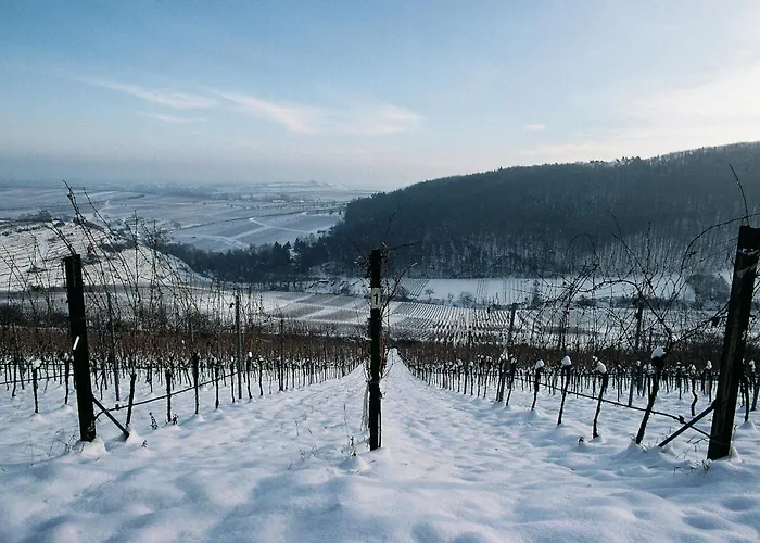 度假居 Kunterbunt *