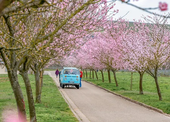 Kunterbunt 度假居 Weyher